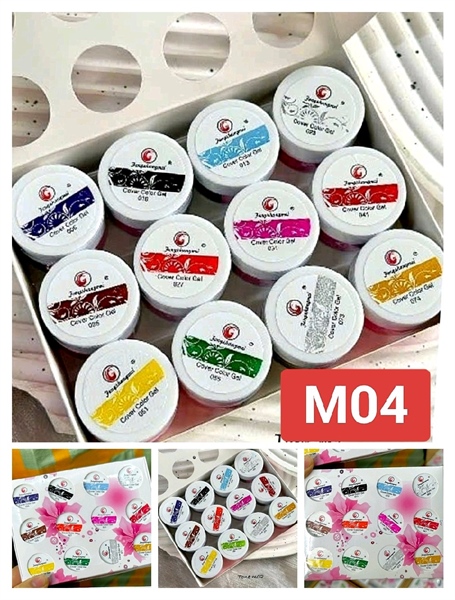 SET GEL VẼ (FengShangMei) 12M