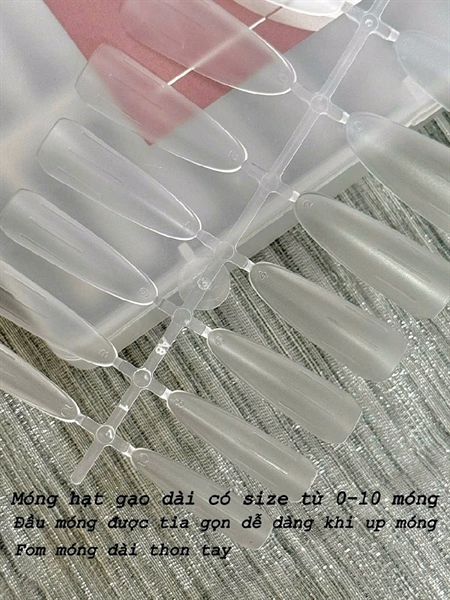 MÓNG ÚP A8 BẦU_HẠT GẠO DÀI