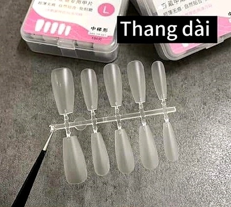 MÓNG ÚP NAILBOX-THANG DÀI