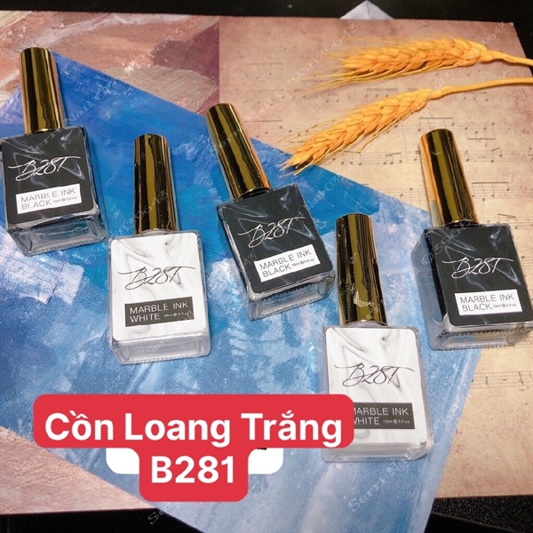 CỒN LOANG B281