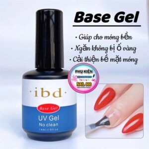BASE IBD