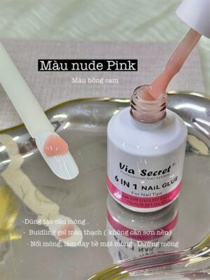 Building Gel Biab_6IN1-Via 15ml (Vt)